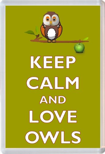 Keep Calm and Love Owls - Novelty Jumbo Fridge Magnet