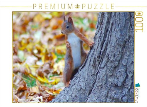 CALVENDO Puzzle Cooles Eichhörnchen | 1000 Teile Lege-Größe 64 x 48 cm Foto-Puzzle für glückliche Stunden