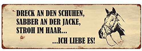 Interluxe METALLSCHILD Blechschild DRECK AN DEN SCHUHEN Pferd Pony Stall Reiten Spruch Motivation Dekoschild