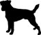teddyfamily Parson Jack Russel Terrier - Hundeaufkleber - Farbe und Umrandung oder Text wählbar - Dog Sticker