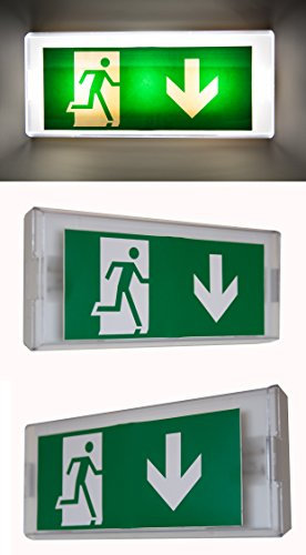 Cartel con luz de emergencia para salida de emergencia, 220.00V
