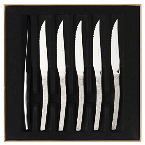 DEGRENNE 206292 Coffret de 6 Couteaux à Steak Monobloc Lame Scie