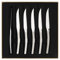 DEGRENNE 206292 Coffret de 6 Couteaux à Steak Monobloc Lame Scie