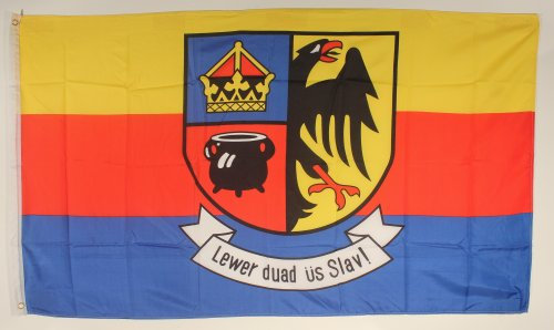 Buddel-Bini Flagge Fahne ca. 90x150 cm : Nordfriesland Nordfriesen Nordfriesenflagge Nord Friesland