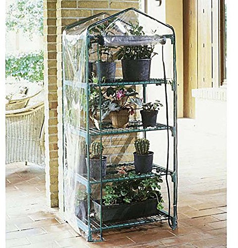 Verdemax 2494 70 x 50 x 158 cm 4 Ripiani Azalea Serra