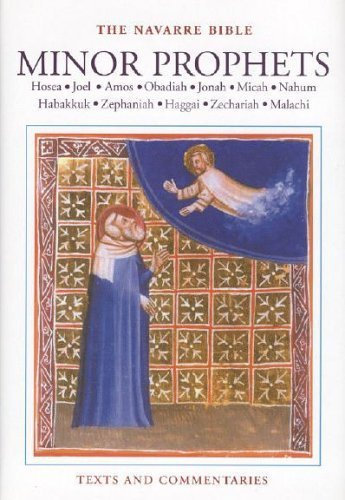 NAVARRE BIBLE MINOR PROPHETS by Not Available (NA) (2006-01-04)