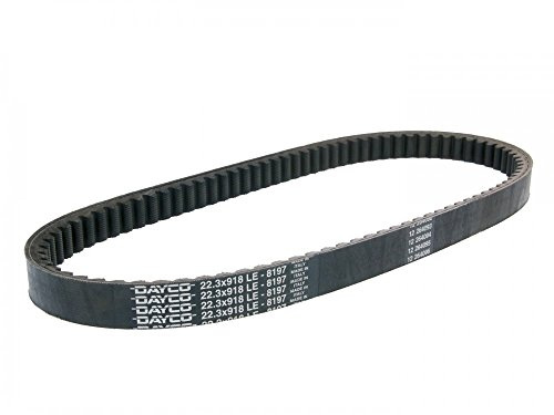 DAYCO 8197 Keilrippenriemen