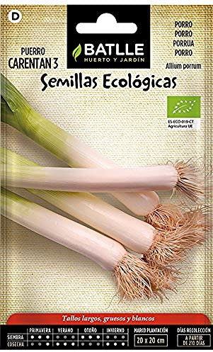 Semi bio - Porri - Porro Carentan 3 spesso (200 semi - Biologico)