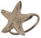 Sander 4-er SET Serviettenringe STARFISH Seestern