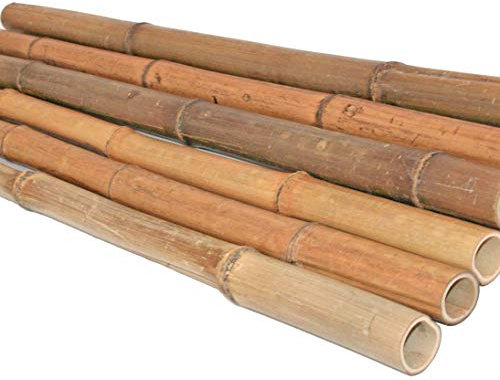 bambus-discount.com 1 tube de bambou de 200 cm de diamètre jaune-marron avec 3-4 cm de diamètre, traitée à la chaleur, tige en bambou de 2 m de long à la vapeur