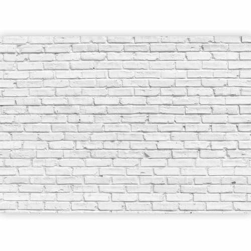 Fotomurales B&D XXL - 400x280 cm XXL Papel pintado tejido no tejido Decoración de Pared decorativos Murales moderna Diseno Fotográfico Ladrillo f-B-0011-a-b