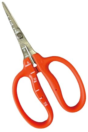 Chika de masa de tijeras de acero de uva preocupan B-500S (jap?n importaci?n)