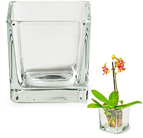 6 x stilvolle und Massive Glaswürfel als Windlicht für Teelichter 8 x 8 x 8 cm - auch als Vorspeisengläser Dessertgläser oder Vase einsetzbar