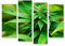 islandburner Bild Bilder auf Leinwand Weed Grass Ganja 4er XXL Poster Leinwandbild Wandbild Dekoartikel Wohnzimmer Marke