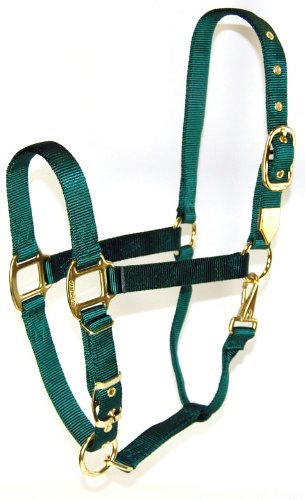 Hamilton 1 Nylon Halfter mit verstellbarem Verschluss