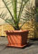 Deko-Impresion Pflanzkübel Nora, Pflanztopf, Blumentopf, 28x28 cm, mit Untersetzer, Terracotta