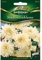 Studentenblumen, Schneeball