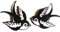 Aufnäher Set für Jacken Iron on Patch Aufbügler Applikation Rockabilly Schwalben 2 er Set je 10 x 6,5 cm