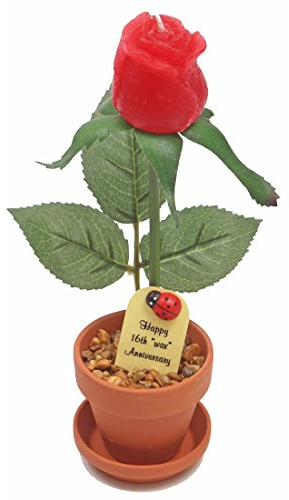 JustPaperRoses Wachsrose zum 16. Jahr, 17,8 cm Topfkerze, Wachs-Rose im Terrakotta-Topf, handgefertigtes Andenken für Sie oder Ihn