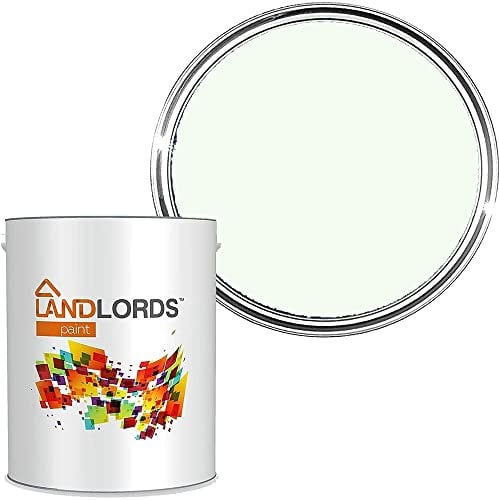 Landlords Anti Damp Paint | Matt Finish Paint | 1L in 20+ Colours | Damp Seal Prevent Build-up of Mildew | Damp Proof Paint for Wall and Ceiling | Anti Condensation Paint | Mould Paint | Green Drop