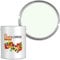 Landlords Anti Damp Paint | Matt Finish Paint | 1L in 20+ Colours | Damp Seal Prevent Build-up of Mildew | Damp Proof Paint for Wall and Ceiling | Anti Condensation Paint | Mould Paint | Green Drop