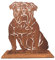 Terma Stahldesign Rost Hund Englisch Bulldogge Lebensgroß Handmade Germany Tolle Gartendeko aus Metall Figur Geschenk Rostfigur Garten Gartenfigur Hundegrab