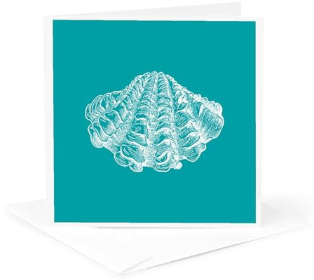 Grußkarte, Muschelmuster, 15,2 x 15,2 cm, Blaugrün (gc_164973_5)