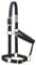 Weaver Leather Halfter aus Nylon, verstellbar, 2,5 cm, Schwarz