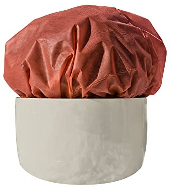 Windhager Winter-Vlies Deko, Kälteschutz, Frostschutz für Pflanzen, dekorativer Winterschutz, Abdeckvlies, 10 x 1,6 m, rot