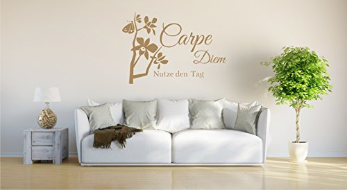 INDIGOS UG - Wandtattoo Wandsticker Wandaufkleber Aufkleber - Wandaufkleber Carpe Diem - Genieße den Tag - 70cm x 60cm Hellbraun E914