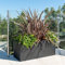 Primrose Gunmetal Black Galvanised Zinc Rectangular Garden Planter Plant Pot Large 75cm x 32cm (29in x 12.5in)