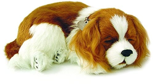 Perfect Petzzz 96309 Plüschhund Cavalier King Charles mit Körbchen, Größe 25 cm, Kuscheltier atmet wie EIN echtes Haustier, schlafender Hund mit Halsband, Stofftier mit flauschigem Fell, Weiß/Braun