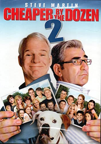 Cheaper by the Dozen 2