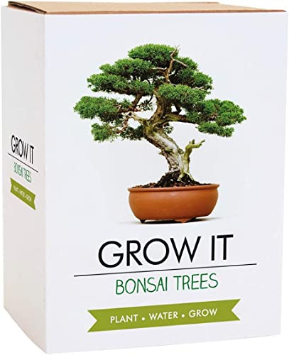 Gift Republic Grow It Bonsai Tree