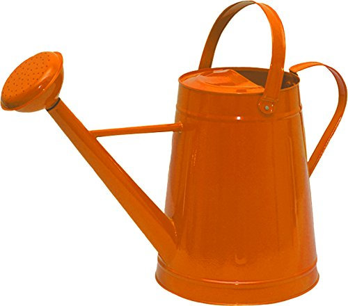 Tierra Garden 36–5081y traditionnel Arrosoir Orange