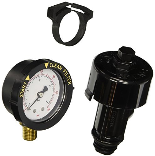 Pentair 98209800 Gros débit Manuel à soupape de Remplacement de Piscine et Spa Filtre