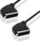 BestPlug 50 cm Audio câble vidéo, péritel mâle vers péritel mâle, Plein belegt, Noir