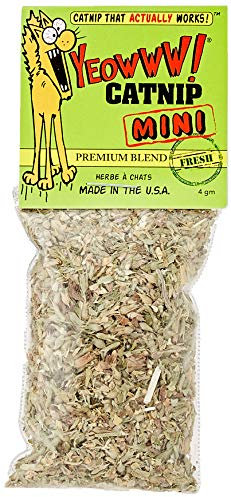 Yeowww 63256 Katzenminze-Beutel Mini, 1 Stück (1er Pack)