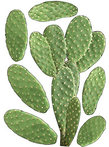 PLAGE 48x68cm Deko Wandaufkleber Kaktus, Vinyl, Colorful, 68x0.1x47,7 cm