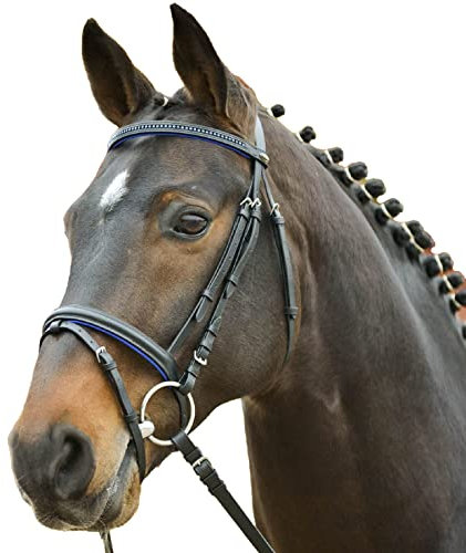 WALDHAUSEN Star Trensenzaum Diamond ENGL.Komb., blau, Minishetty