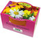 Bull & Bear Minipflanzset Bunte Blumen, Blumensamen im Topf 40mm, Mini Blumen als Anzuchtset mit Pflegeanleitung