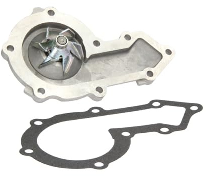 Hepu P1032 Wasserpumpe
