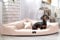 tierlando® Trivia | Orthopädisches Hundebett Robustes Polyester Visco Eckbett Eckhundebett Gr. XL 120cm Creme