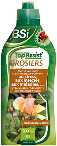 BSI Top Resist Engrais fertilisant pour Rosier