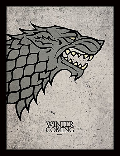 Game of Thrones (Stark 30 x 40 cm Objet Souvenir