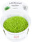 Tropica Utricularia graminifolia Live Aquarium Plant - In Vitro Tissue Culture 1-2-Grow! by Tropica