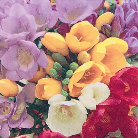 JET PAPIER GMBH Servietten 33x33cm 20 St. Freesia