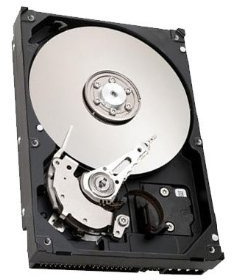 'SEAGATE Barracuda st3300831ace Disco Duro Interno (300 GB, 7200 RPM, IDE, 8,89 cm (3,5))
