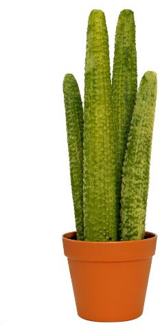 McPalms künstlicher Kaktus ca. 50 cm Hoch Kunstblume Kunstpflanze