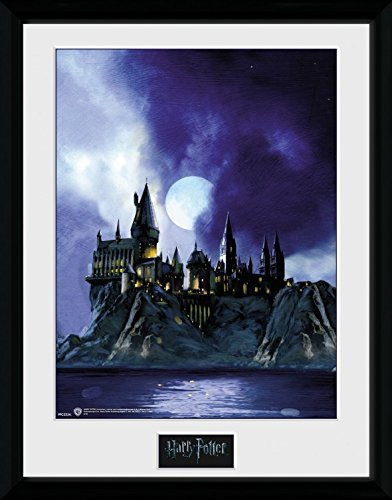 1art1 100196 Harry Potter - Die Hogwarts-Schule Für Hexerei Und Zauberei Gerahmtes Poster Für Fans Und Sammler 40 x 30 cm